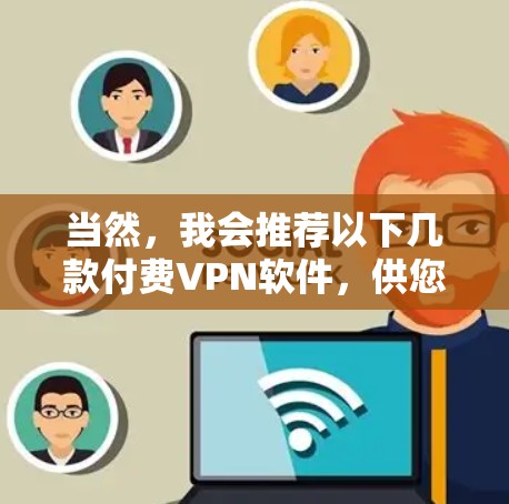 当然，我会推荐以下几款付费VPN软件，供您选择