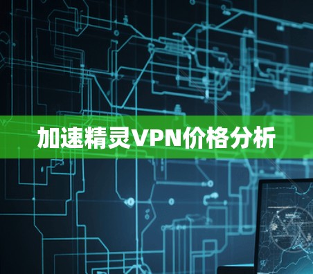 加速精灵VPN价格分析
