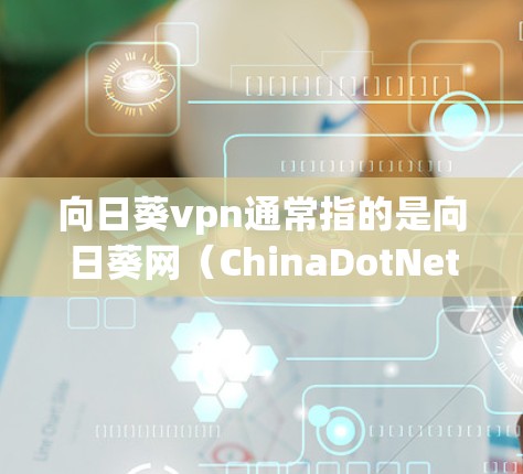 向日葵vpn通常指的是向日葵网（ChinaDotNet）提供的VPN服务。向日葵网的VPN收费标准是基于其提供的服务条款和协议的，具体包括流量、数据包使用限制以及可能的费用结构