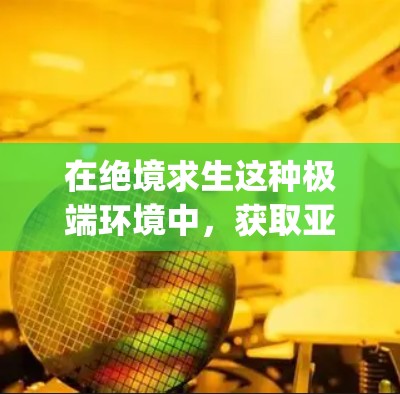 在绝境求生这种极端环境中，获取亚(units)和vpn（可能指特殊能力或特权）需要结合游戏的具体规则和背景。以下是一些建议，帮助你更好地理解和利用这些资源