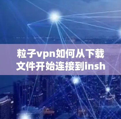 粒子vpn如何从下载文件开始连接到inshelf？步骤解析