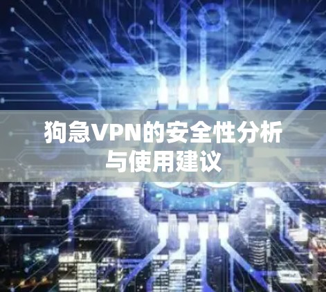 狗急VPN的安全性分析与使用建议