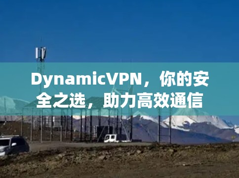DynamicVPN，你的安全之选，助力高效通信