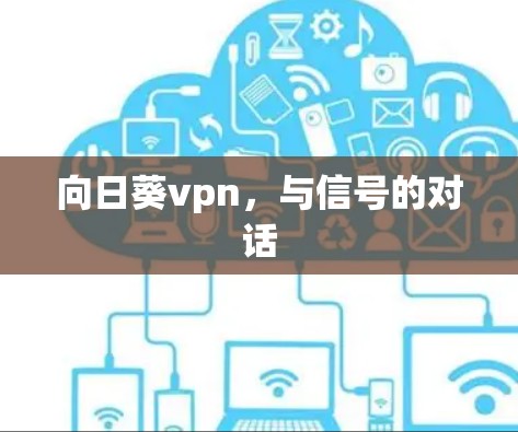 向日葵vpn，与信号的对话