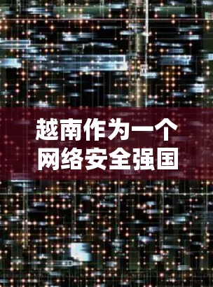越南作为一个网络安全强国，拥有丰富的互联网基础设施，并且在多个城市和地区的VPN服务器网络中都有分布。这些VPN服务器主要用于保护个人和商业数据，如客户机、服务器及服务器组，以及企业内部网络