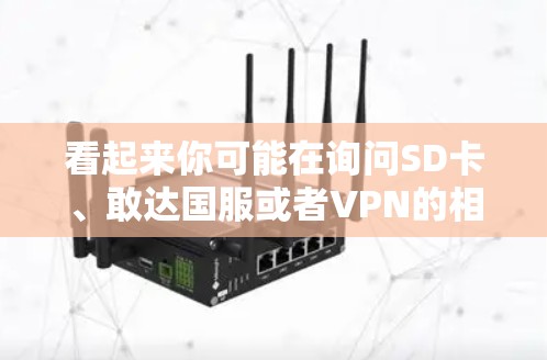 看起来你可能在询问SD卡、敢达国服或者VPN的相关问题。以下是一些可能的解释和建议