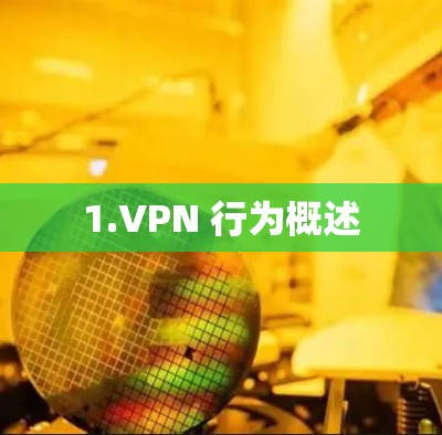 1.VPN 行为概述 1.VPN 行为概述