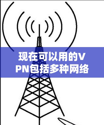 现在可以用的VPN包括多种网络服务，以下是几种支持VPN的网络