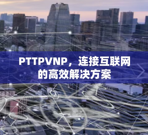 PTTPVNP，连接互联网的高效解决方案