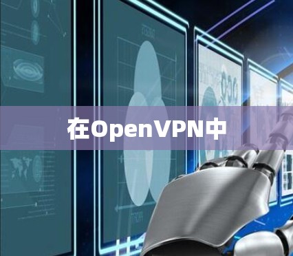 在OpenVPN中