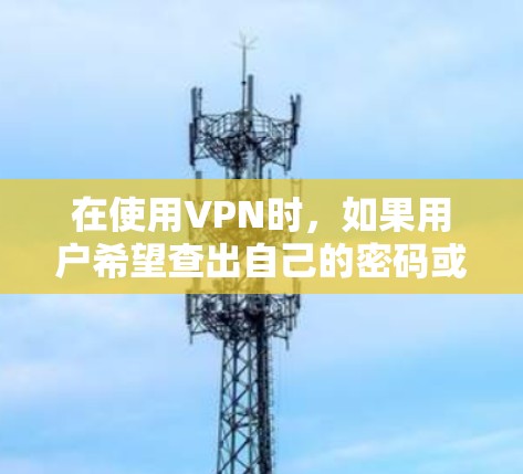 在使用VPN时，如果用户希望查出自己的密码或私人信息，可以考虑以下几点