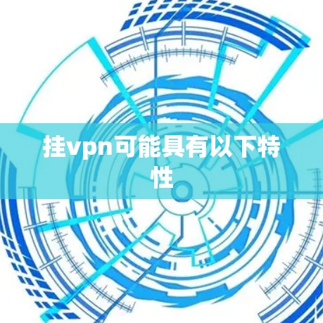 挂vpn可能具有以下特性
