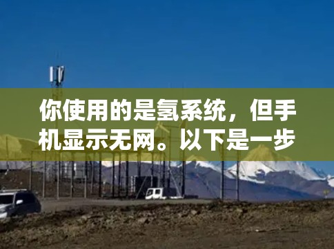 你使用的是氢系统，但手机显示无网。以下是一步步的解决方案