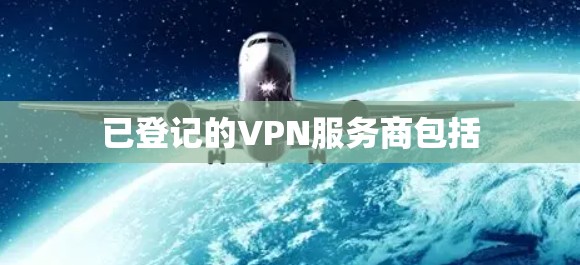 已登记的VPN服务商包括