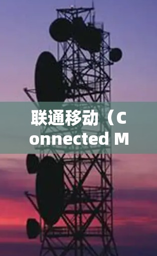 联通移动（Connected Mobile）提供VPN服务的情况如下