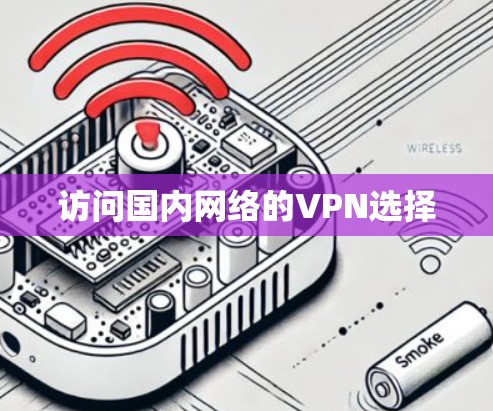 访问国内网络的VPN选择
