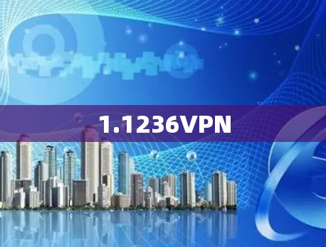1.1236VPN