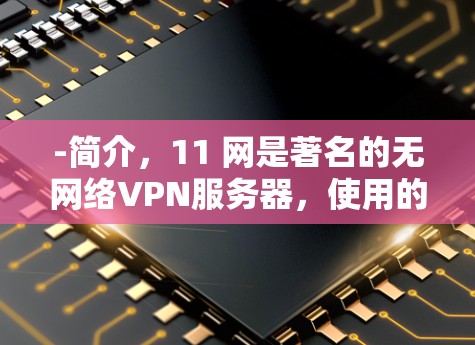 -简介，11 网是著名的无网络VPN服务器，使用的是 T1 网络协议
