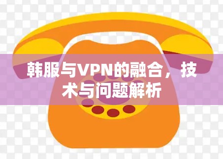 韩服与VPN的融合，技术与问题解析