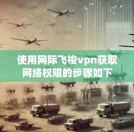 使用网际飞梭vpn获取网络权限的步骤如下