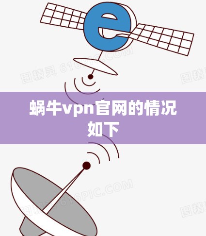 蜗牛vpn官网的情况如下