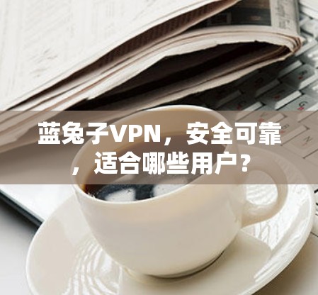 蓝兔子VPN，安全可靠，适合哪些用户？