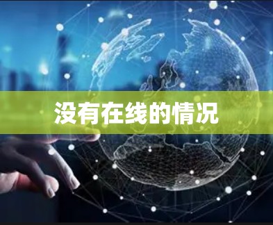 没有在线的情况