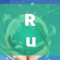 Rust编程中的安全实践，构建安全可靠的代码