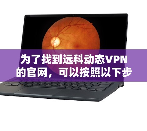 为了找到远科动态VPN的官网，可以按照以下步骤进行