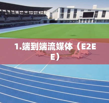 1.端到端流媒体（E2EE）