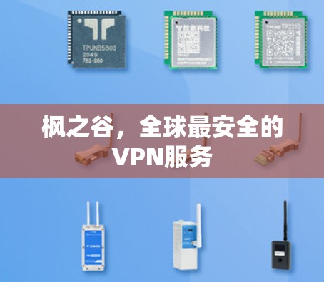 枫之谷,全球最安全的VPN服务 枫之谷,全球最安全的VPN服务