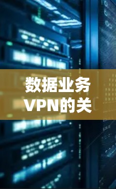 数据业务VPN的关键点 数据业务VPN的关键点