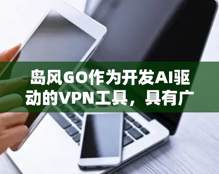 岛风GO作为开发AI驱动的VPN工具，具有广阔的发展前景，但需在多个方面进行优化以提升其竞争力和用户体验。以下是对岛风GO的总结和建议