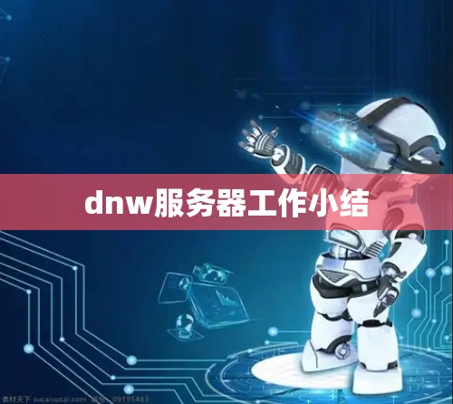 dnw服务器工作小结
