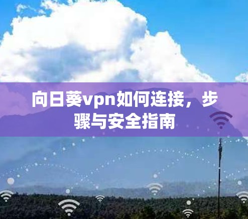 向日葵vpn如何连接，步骤与安全指南