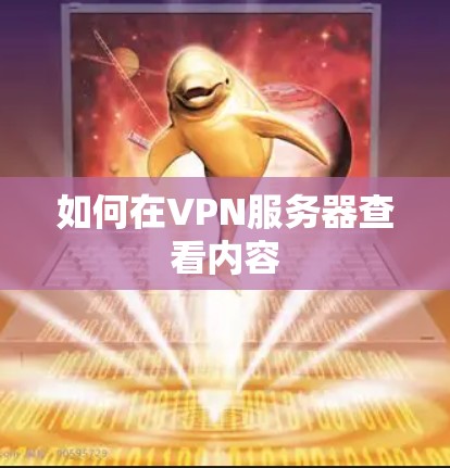 如何在VPN服务器查看内容