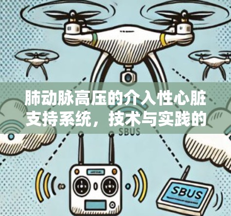 肺动脉高压的介入性心脏支持系统，技术与实践的融合