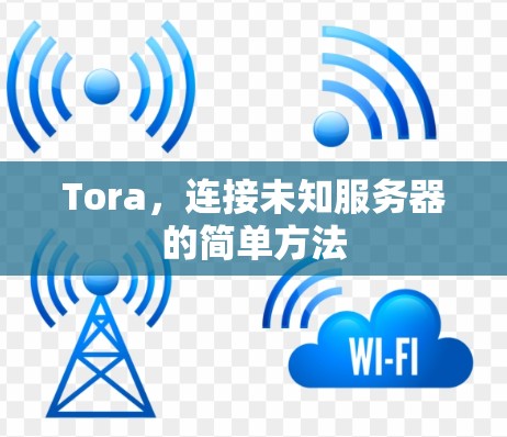 Tora，连接未知服务器的简单方法