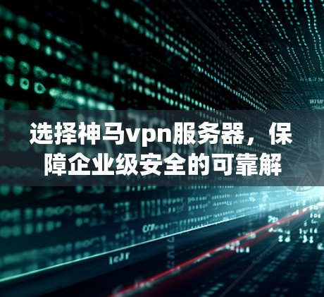 选择神马vpn服务器,保障企业级安全的可靠解决方案 选择神马vpn服务器,保障企业级安全的可靠解决方案