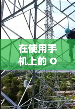 在使用手机上的 OpenVPN 应用或类似服务时，如果无法上网，可能是因为以下原因