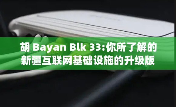 胡 Bayan Blk 33:你所了解的新疆互联网基础设施的升级版