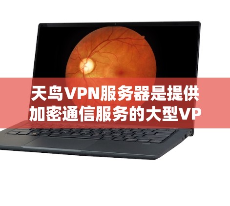 天鸟VPN服务器是提供加密通信服务的大型VPN平台，以其可靠性和高效性受到广泛关注。以下是对天鸟VPN服务器的详细介绍