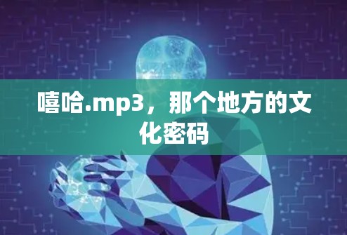 嘻哈.mp3，那个地方的文化密码