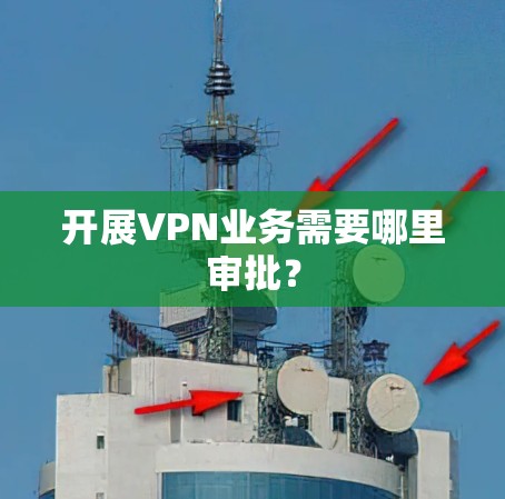 开展VPN业务需要哪里审批？