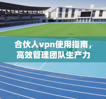 合伙人vpn使用指南，高效管理团队生产力