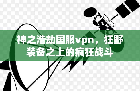 神之浩劫国服vpn，狂野装备之上的疯狂战斗