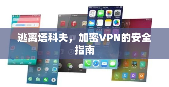逃离塔科夫，加密VPN的安全指南
