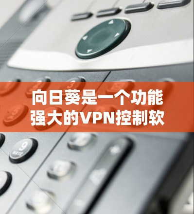 向日葵是一个功能强大的VPN控制软件，适合需要高稳定性、多端口连接和多种协议支持的用户。以下是使用向日葵的详细步骤和建议