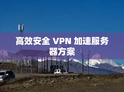 高效安全 VPN 加速服务器方案