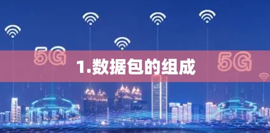 1.数据包的组成